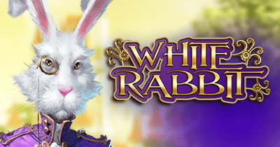 White Rabbit at Richard Casino